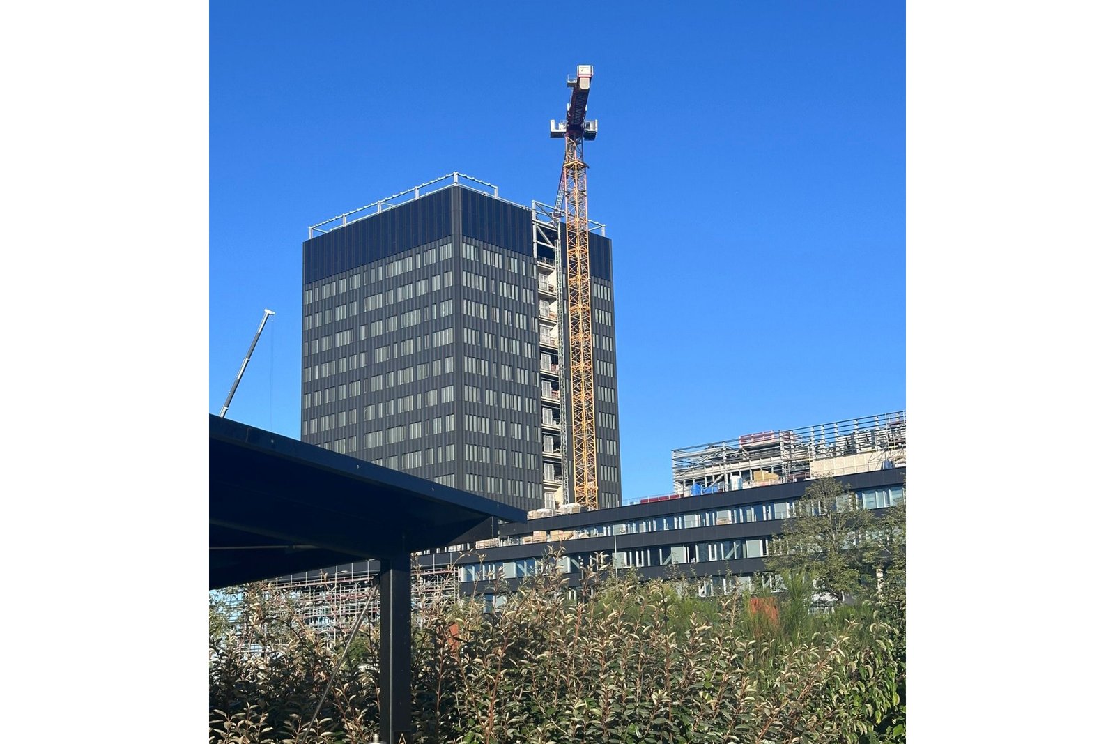 Zakelijk – The European Investment Bank